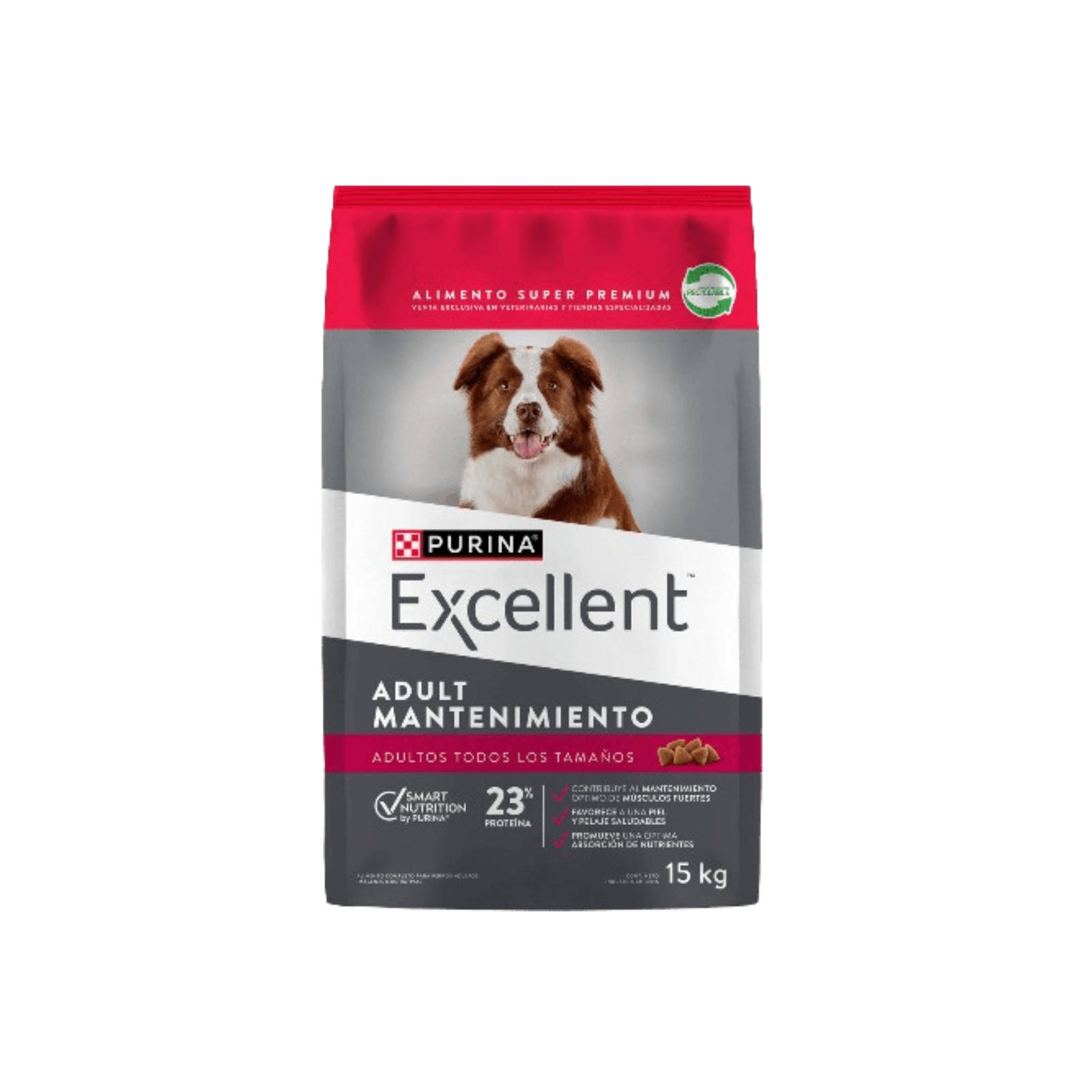 Excellent Maintenance para Perros