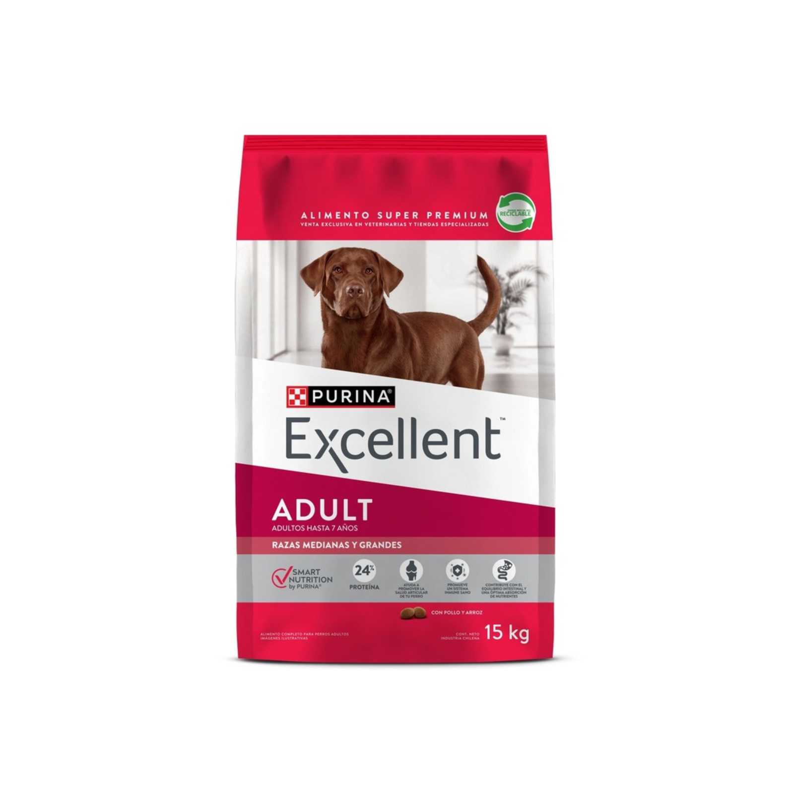 Excellent Perro Pollo y Arroz Adulto Raza Grande