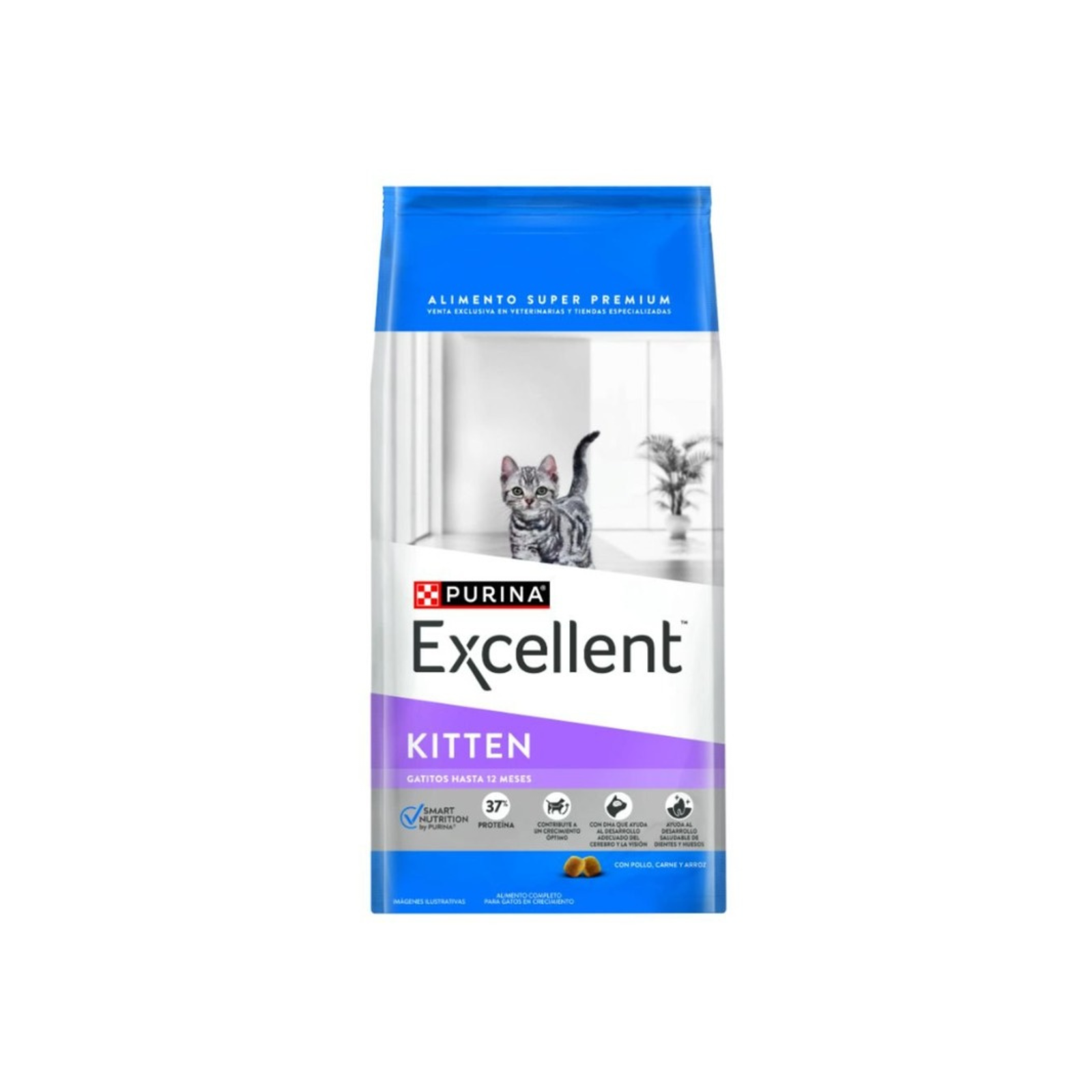 Excellent para Gatitos