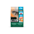 Boreal Perro Original Salmón