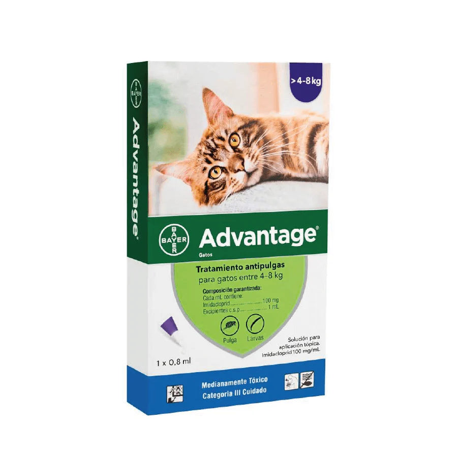 ADVANTAGE PIPETA GATO  4-8 KG