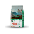 Bravery Kitten Pollo – alimento seco grain free de pollo para gatitos, bolsa de 2 kg
