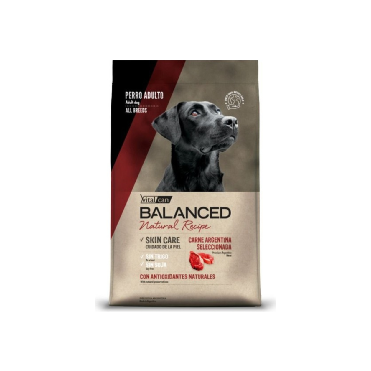 Vitalcan Balanced Natural Recipe Perro Carne Argentina