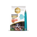 Amity Perro Cachorro Chicken