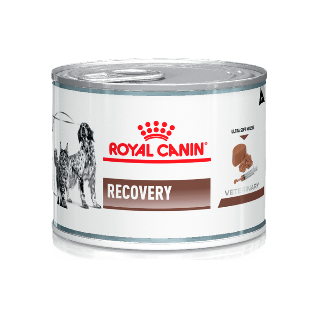 Royal Canin Recovery Lata para Perros y Gatos