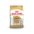 Royal Canin Chihuahua Adulto
