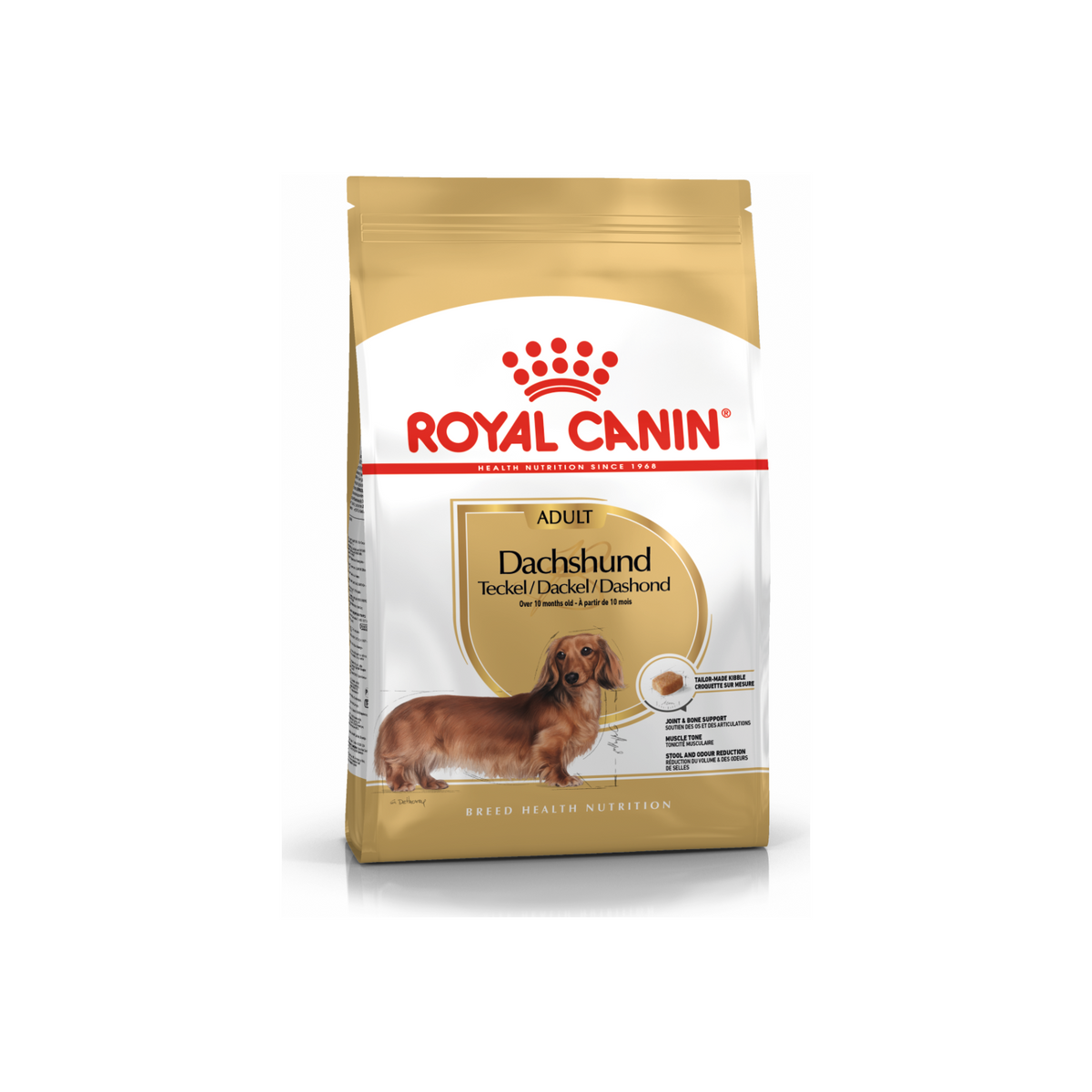 Royal Canin Dachshund Adulto empaque oficial alimento