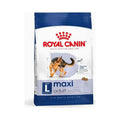Royal Canin Maxi Adulto