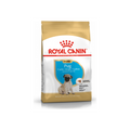 Royal Canin Pug Junior empaque oficial alimento