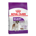 Royal Canin Giant Adulto